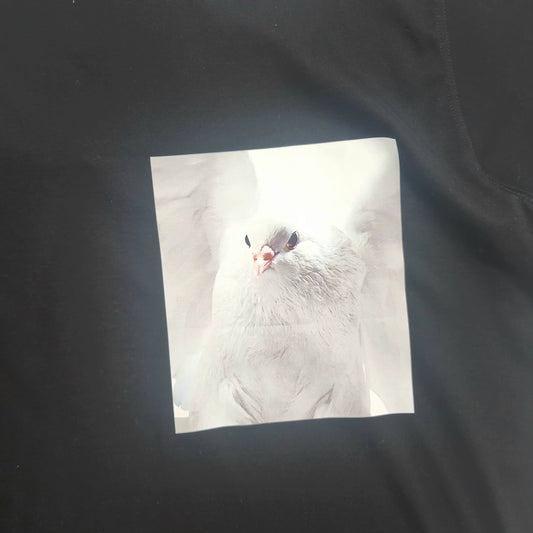 Burberry Love Pigeon Men's Black T-Shirt - XL