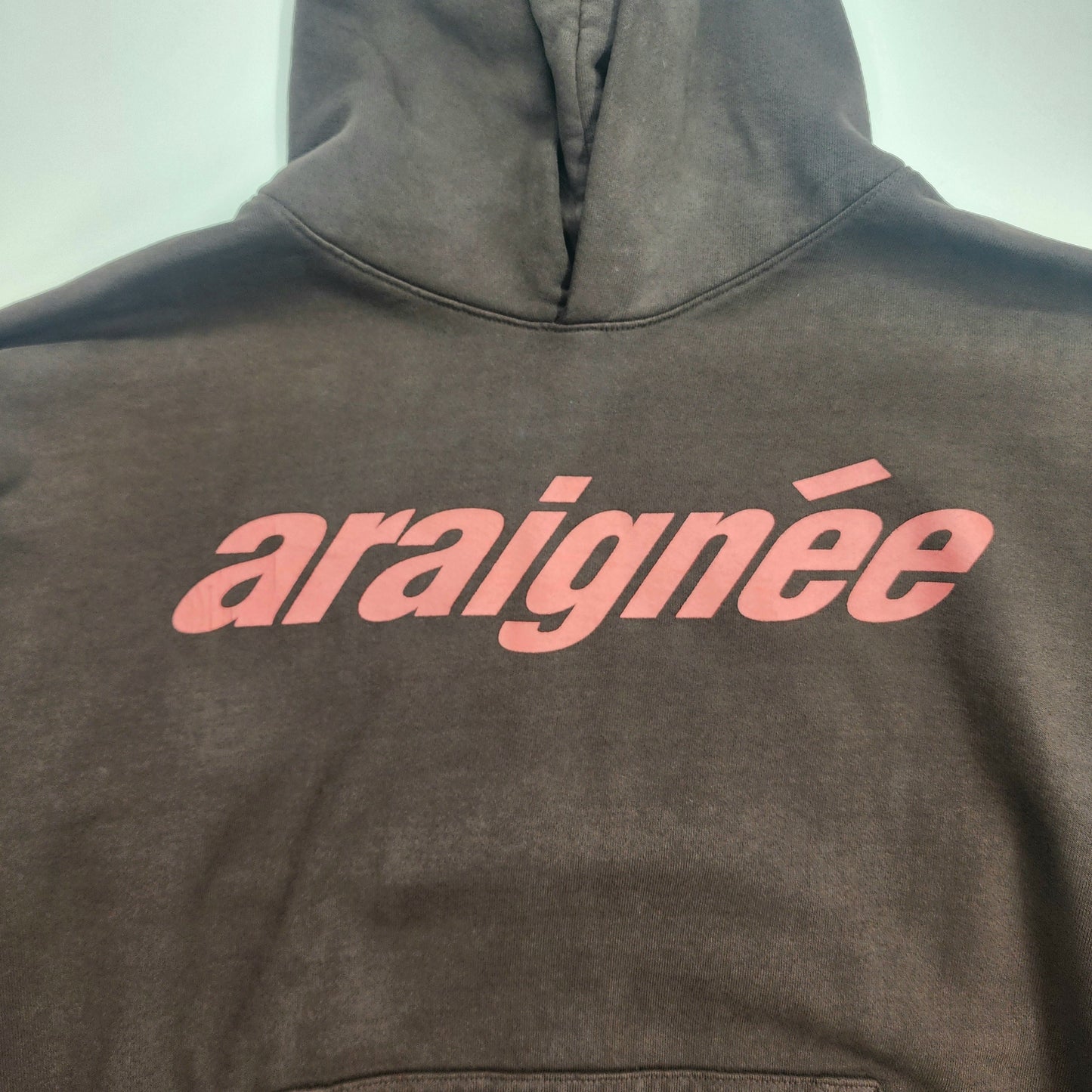 Spider Araignee Brown Men's Hoodie Size - XL
